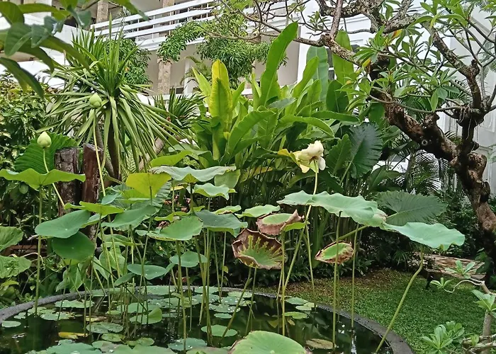 Sari Bunga - Legian, Walking Distance To Legian